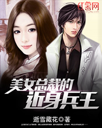 女总裁的近身兵王全部章节